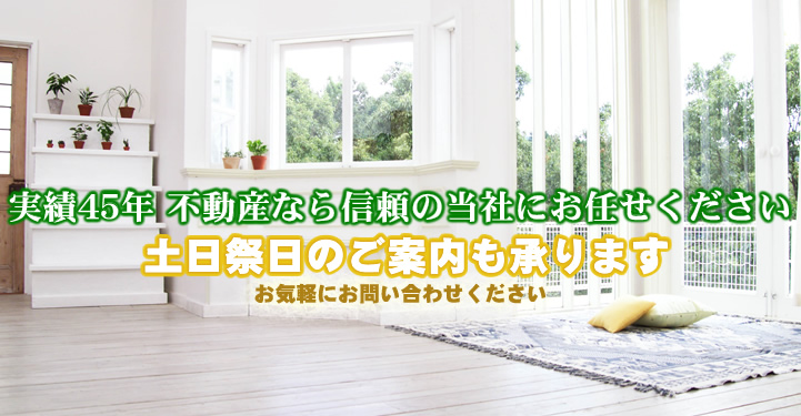 �H�c�O���[�������������